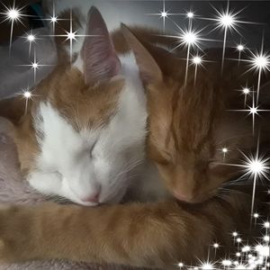 Meet your Posher, Dianne